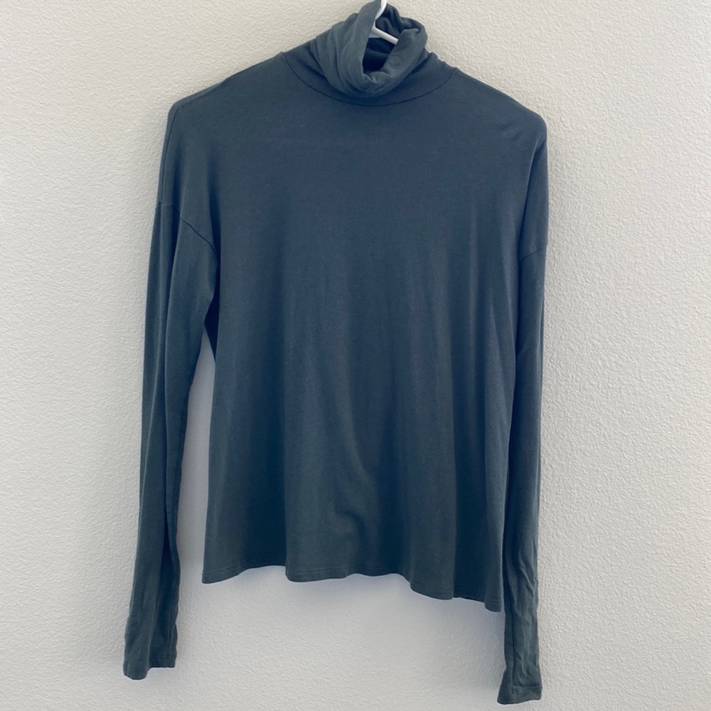 Sage green BP turtleneck